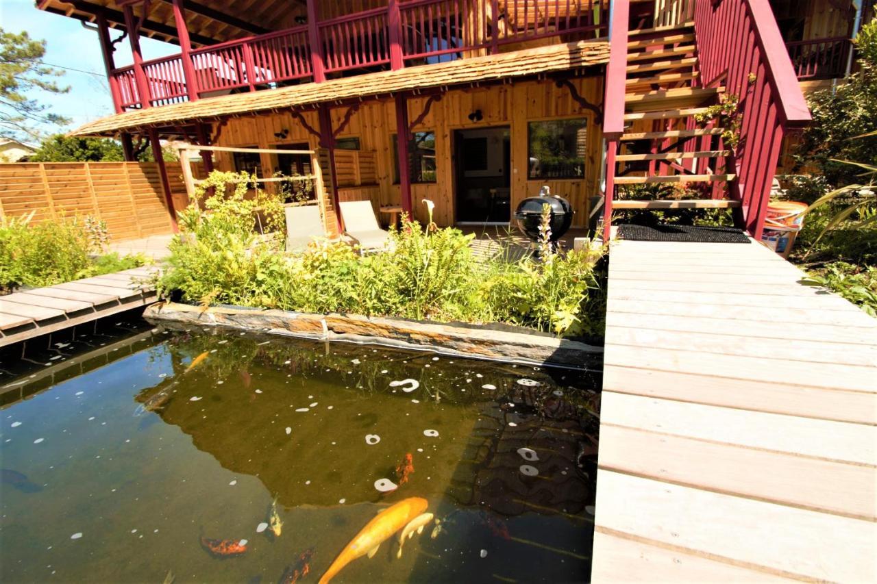 Ferienwohnung Les Jardins De La Sud Lacanau Exterior foto