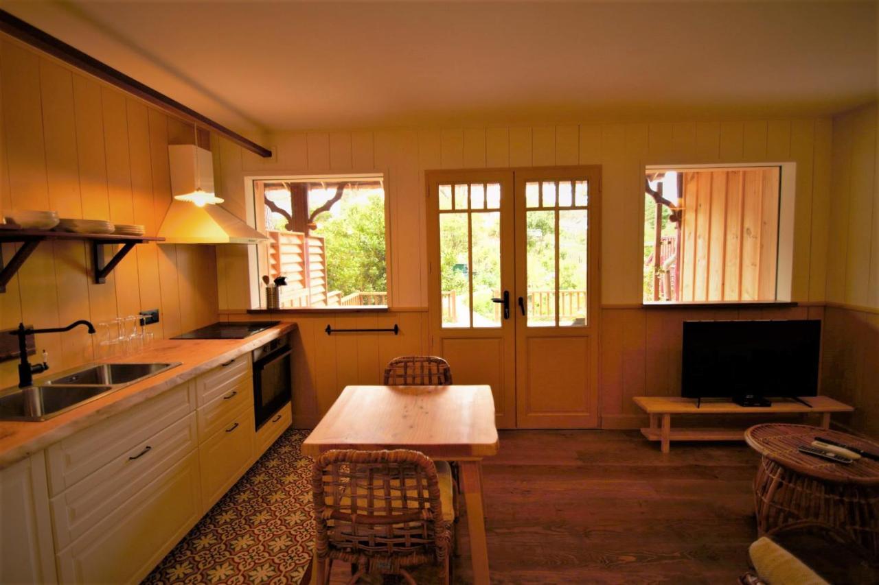 Ferienwohnung Les Jardins De La Sud Lacanau Exterior foto